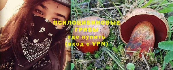 МДПВ Навашино
