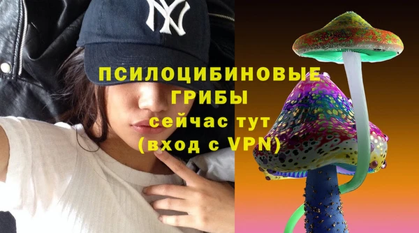 ешки Арсеньев