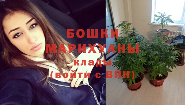 винт Армянск