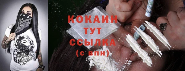 ешки Арсеньев