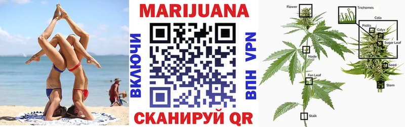 наркошоп  Семикаракорск  Канабис SATIVA & INDICA 